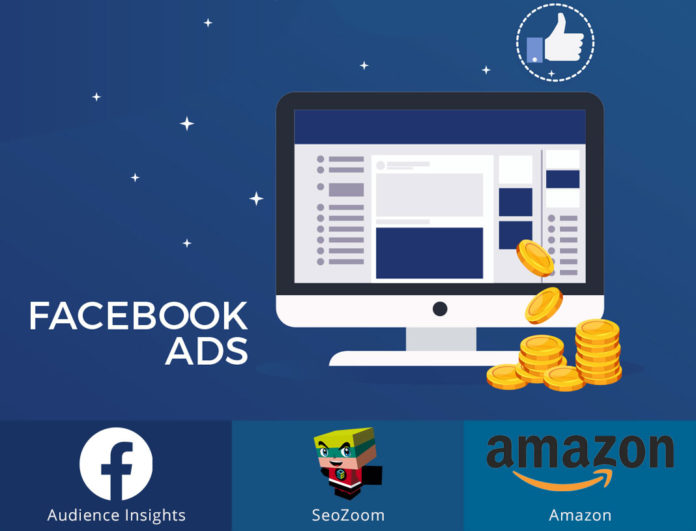 Fare Facebook ADS con Audience Insights, SeoZoom e Amazon